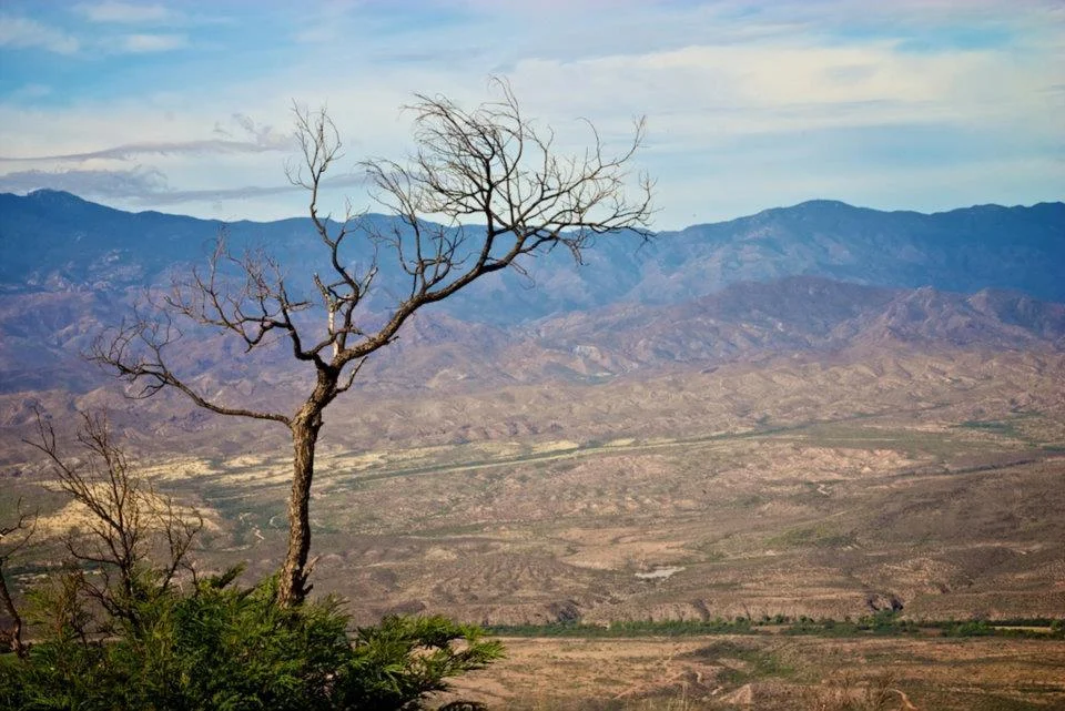 1-overlooking rio bavispe, sonora.jpg