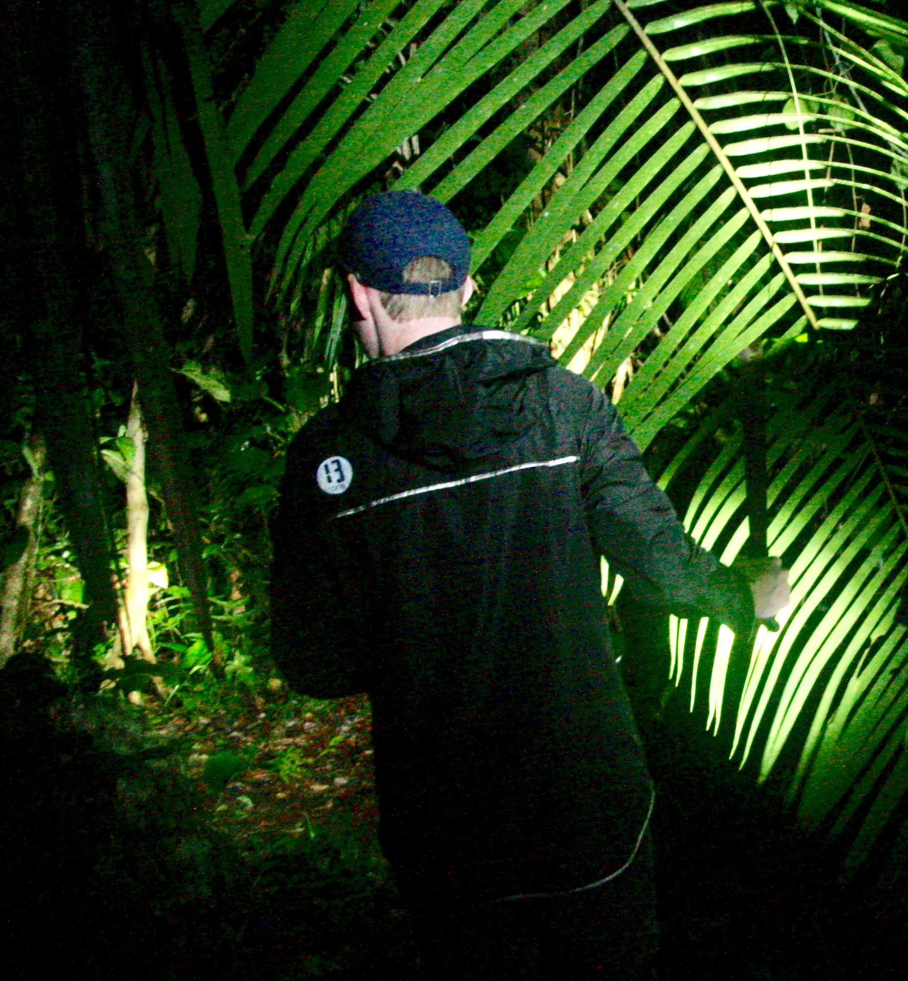Tackling The Jungles, Belmopan, Belize