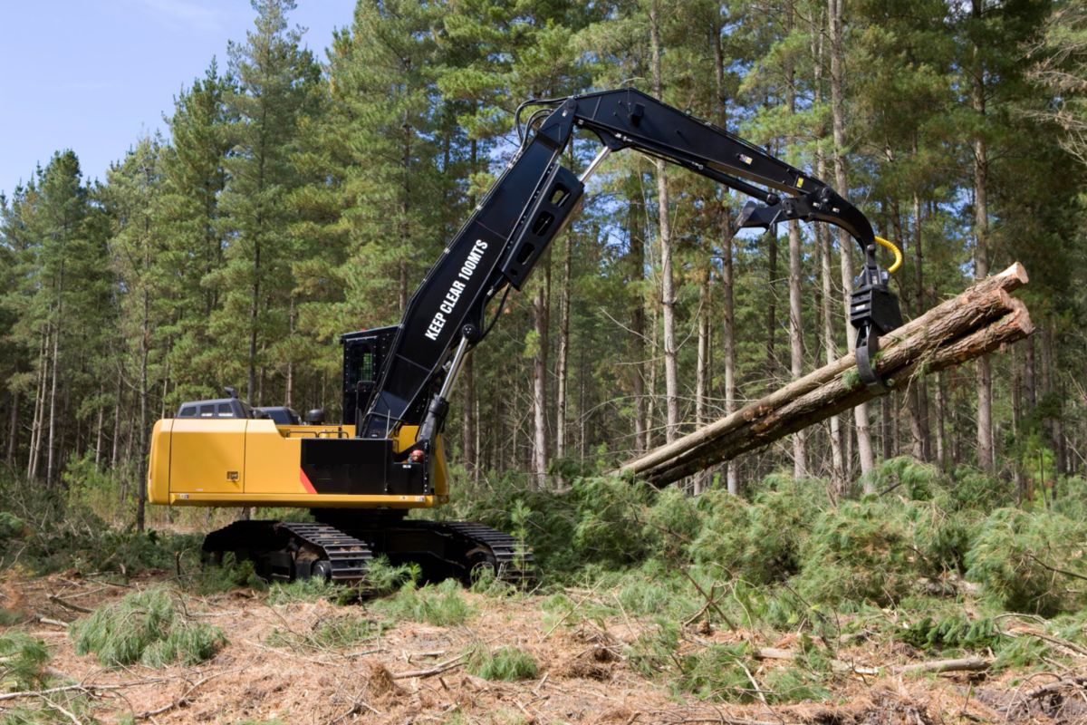 Log Loader/Delimber