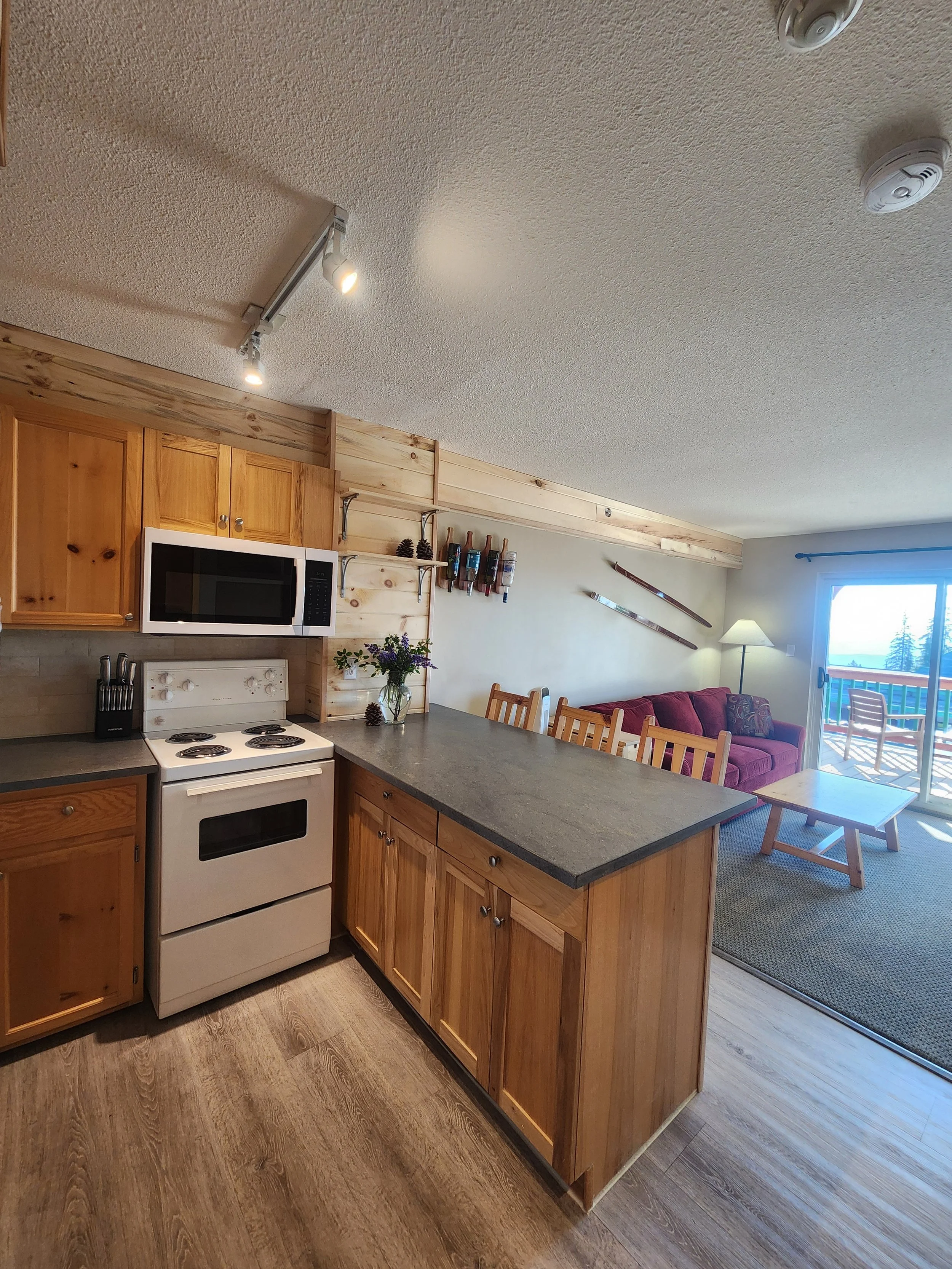 Kitchen and Living room with view.jpg