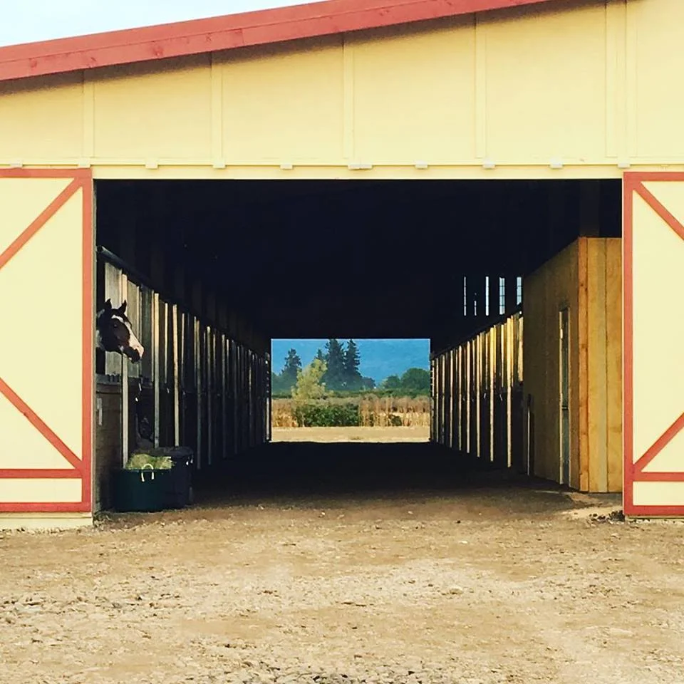 RED BARN - STALL WITH RUN
