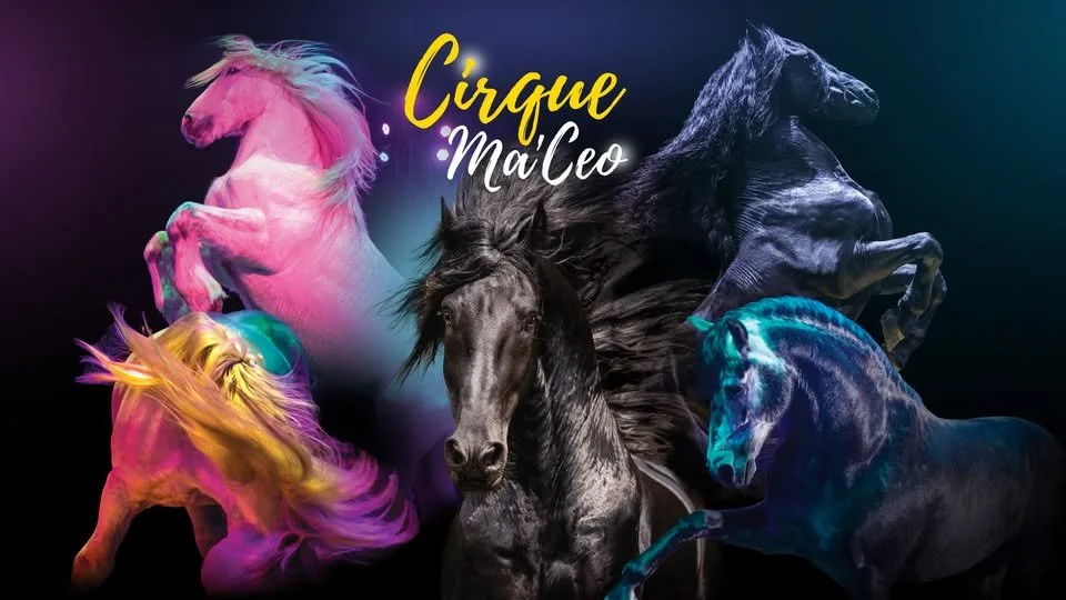 Cirque Ma'Ceo by Cavallo Equestrian Arts