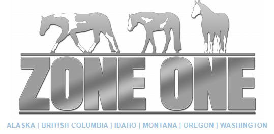 Zone One - APHA (Silverado Arena)