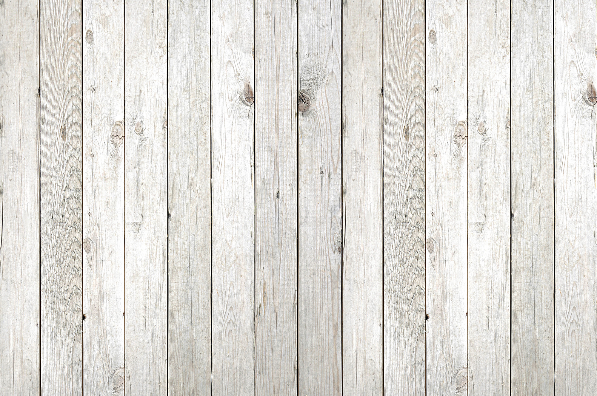 Cover Page Background.jpg