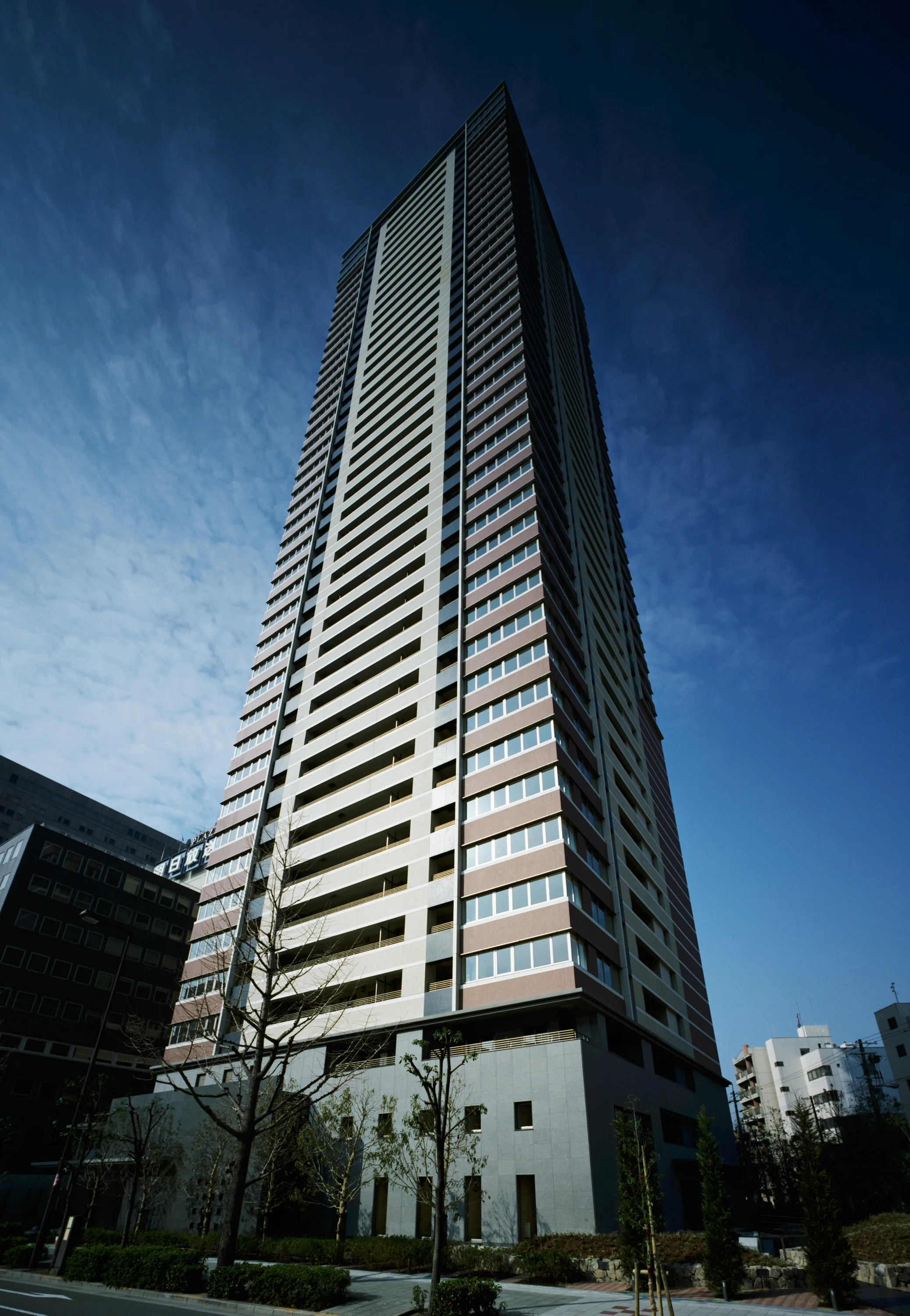 IMG0009.jpg