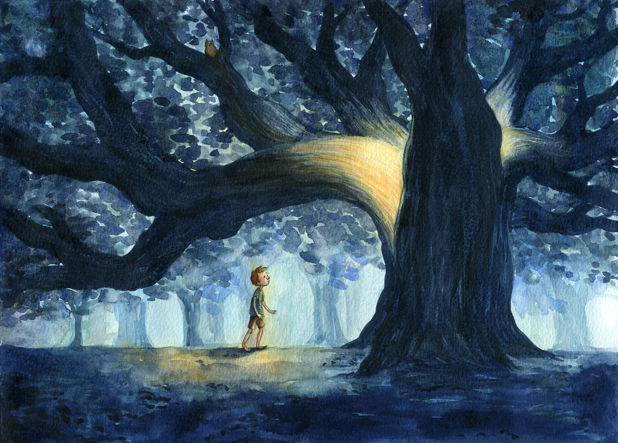 The Light in the Tree 1 ; 8"x10", ink and watercolor