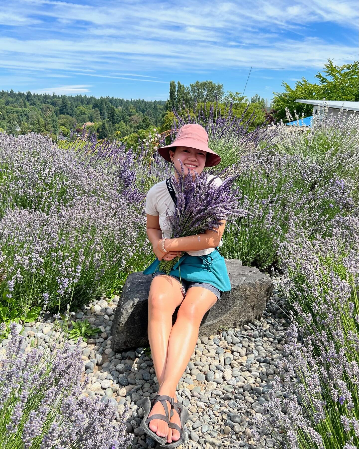 Applications for our summer 2024 internship are OPEN! Check out the link in our bio for more info! 

#lavenderinterns #lavenderinternship #lavenderfarm #farminternship