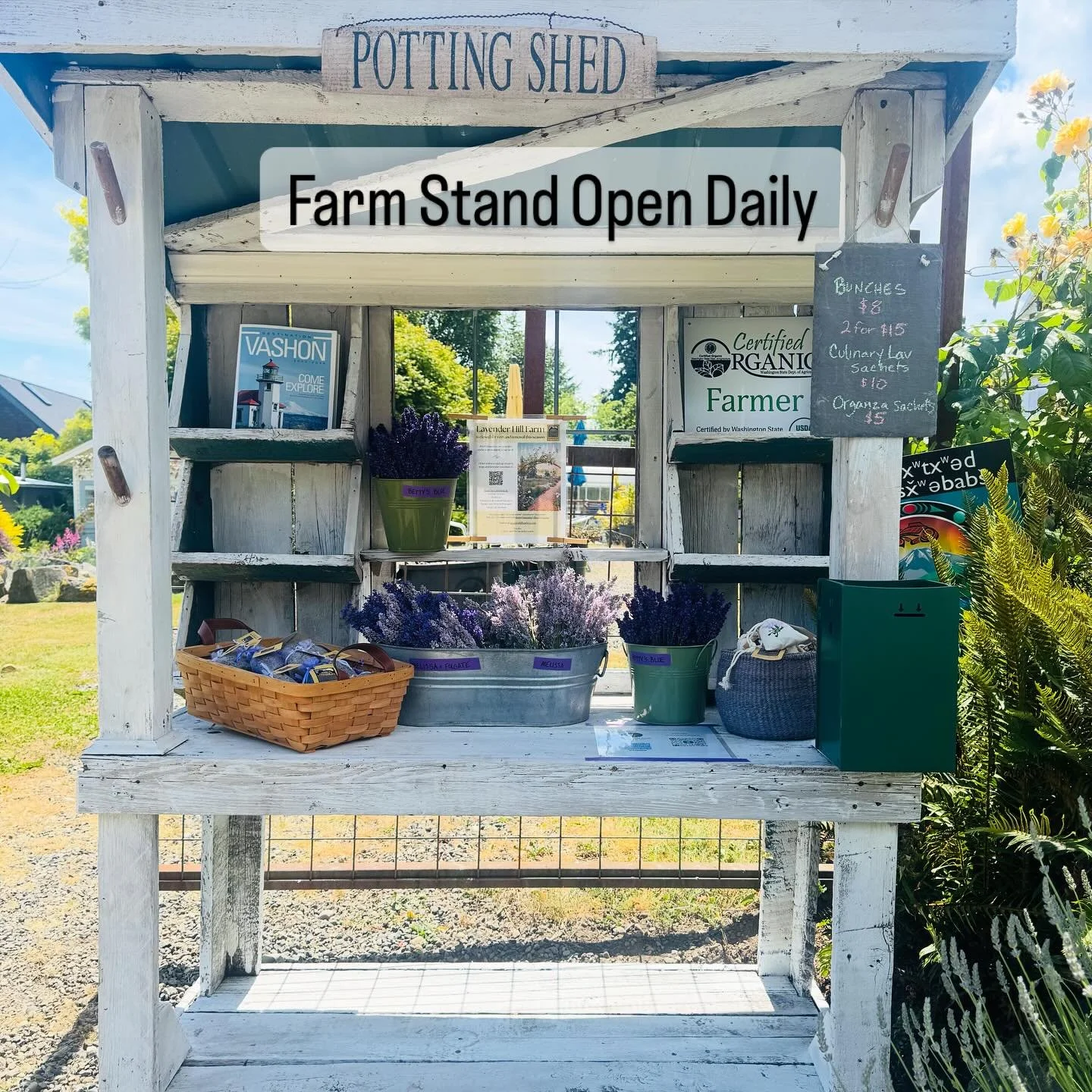 Fresh lavender and sachets in the farm stand. Don&rsquo;t miss Betty&rsquo;s Blue (small but mighty) , Folgate (bright and fluffy) and Melissa (sweet and pink). Yes, it&rsquo;s summer!
#organiclavender #vashonfarmstands