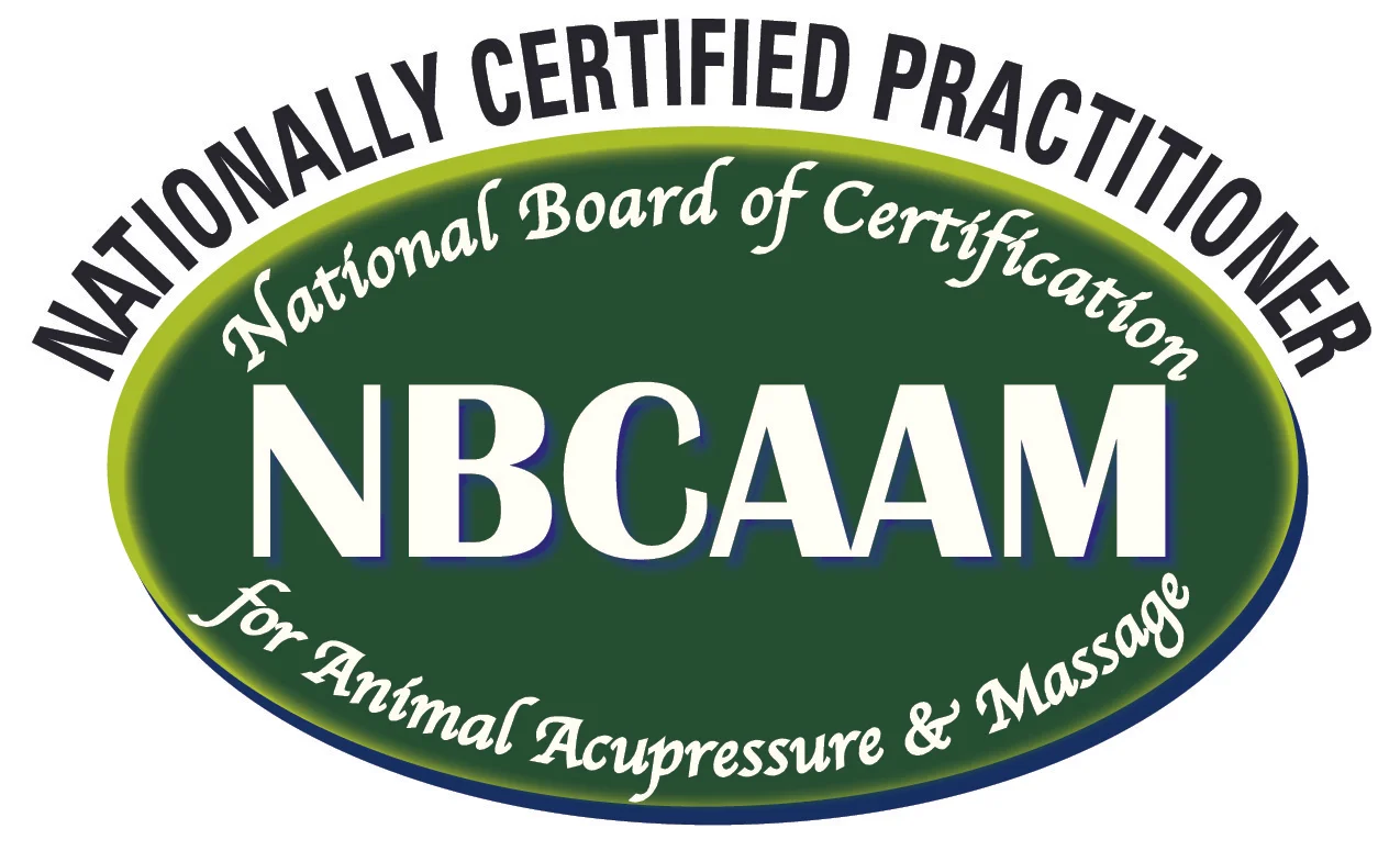 NBCAAM cert logo.jpg