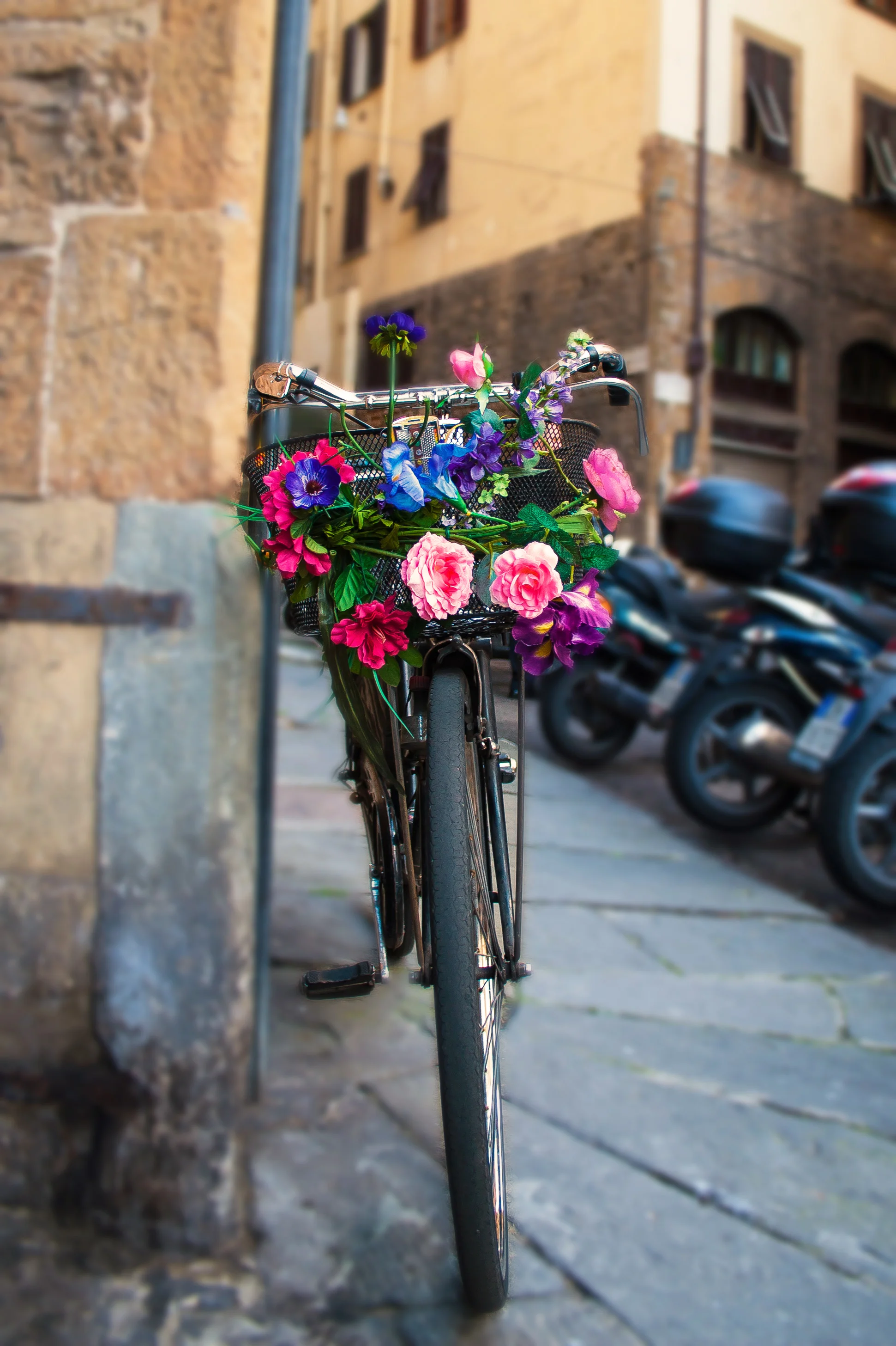The Blooming Bike