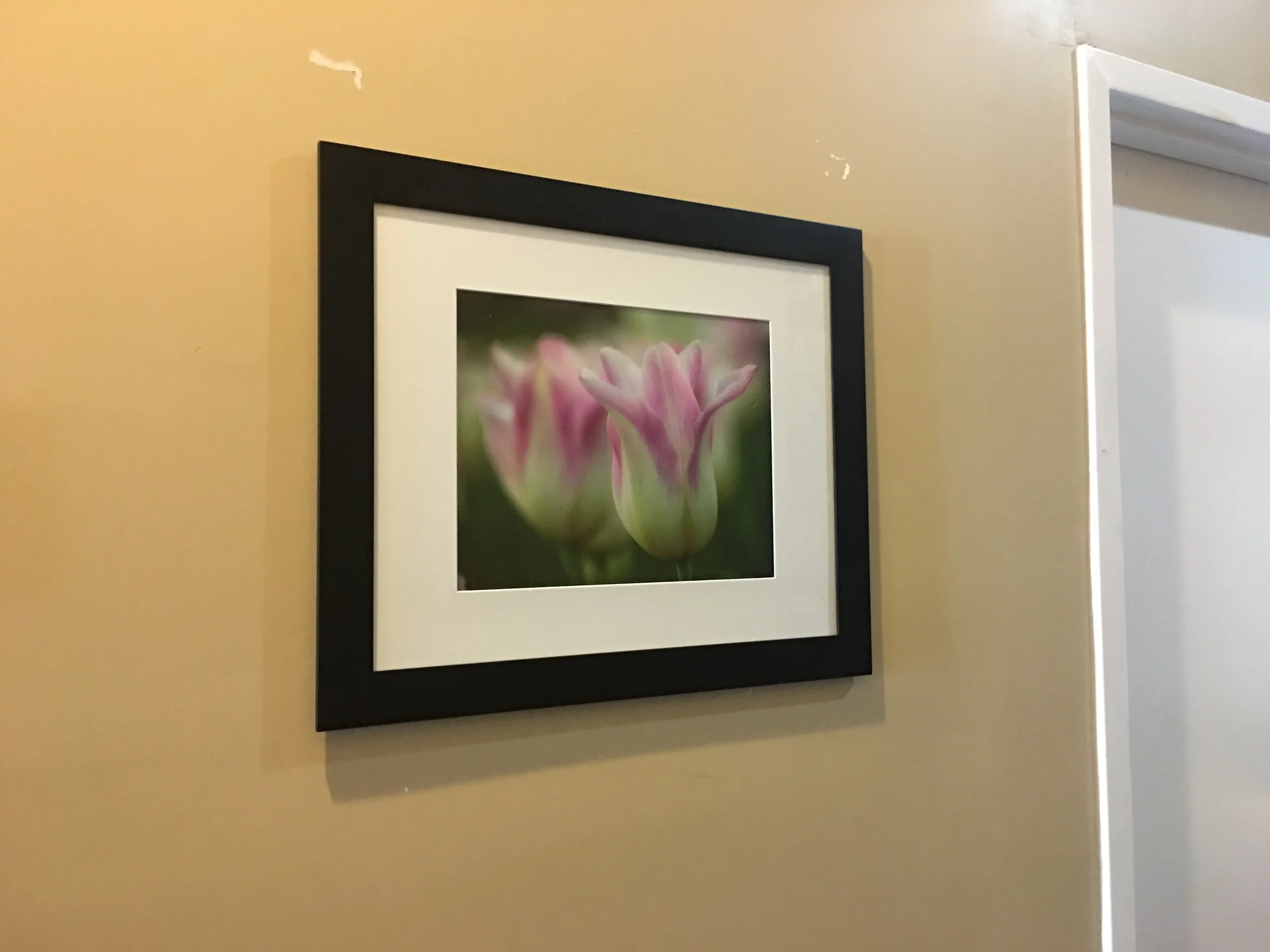 Floral Library, 19x23 Framed - $150