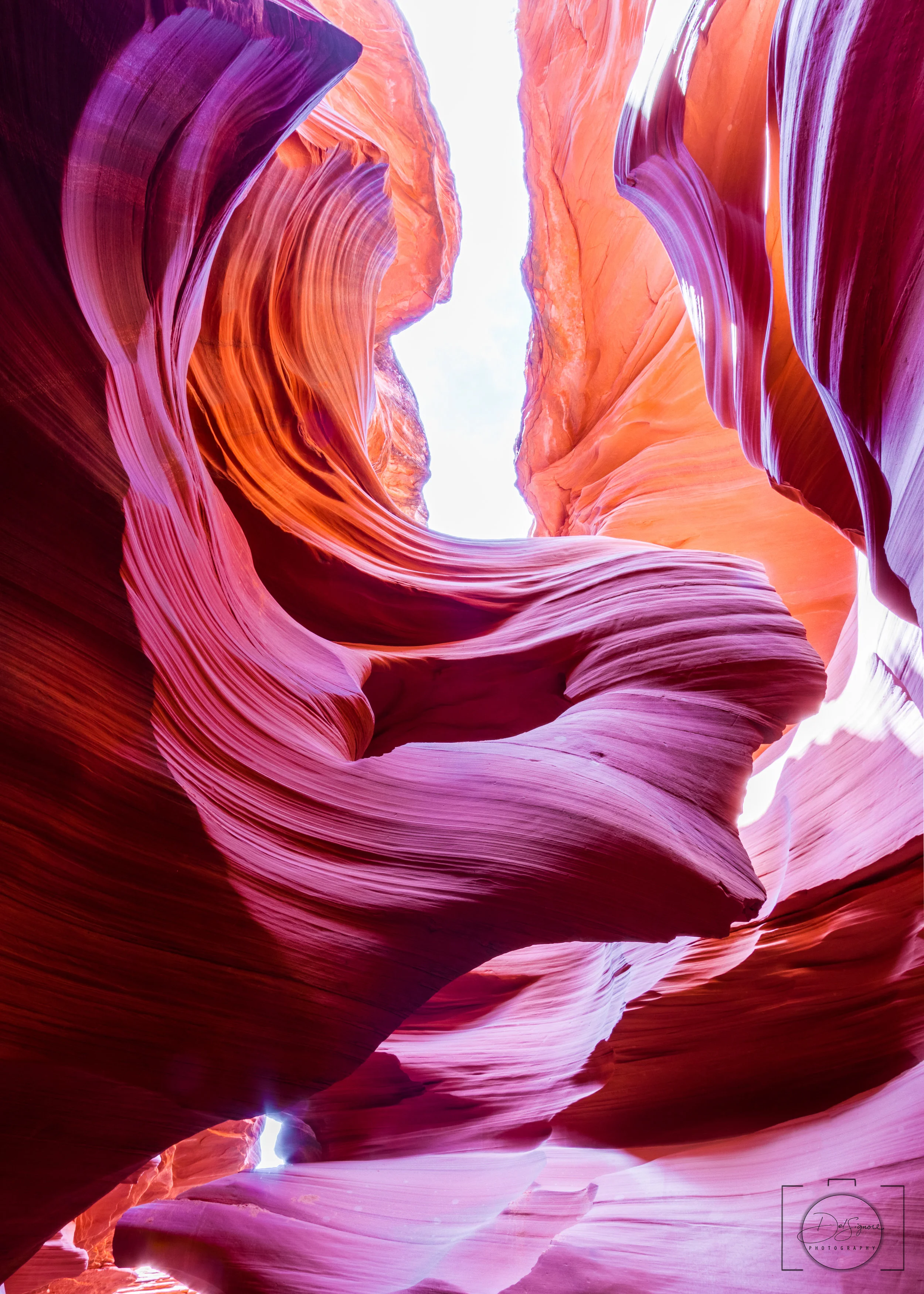 "The Lady in the Wind"