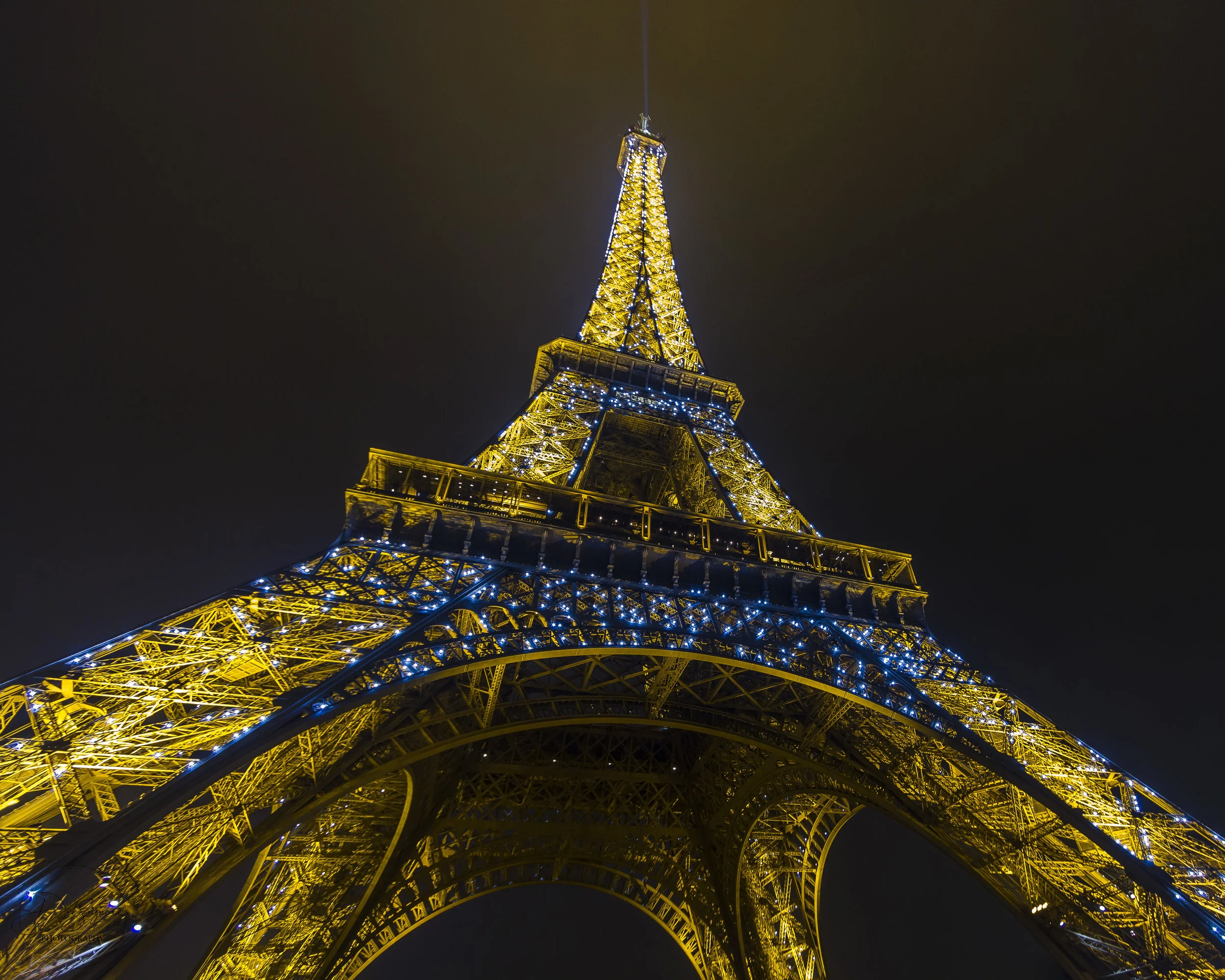 "Light up the Night"