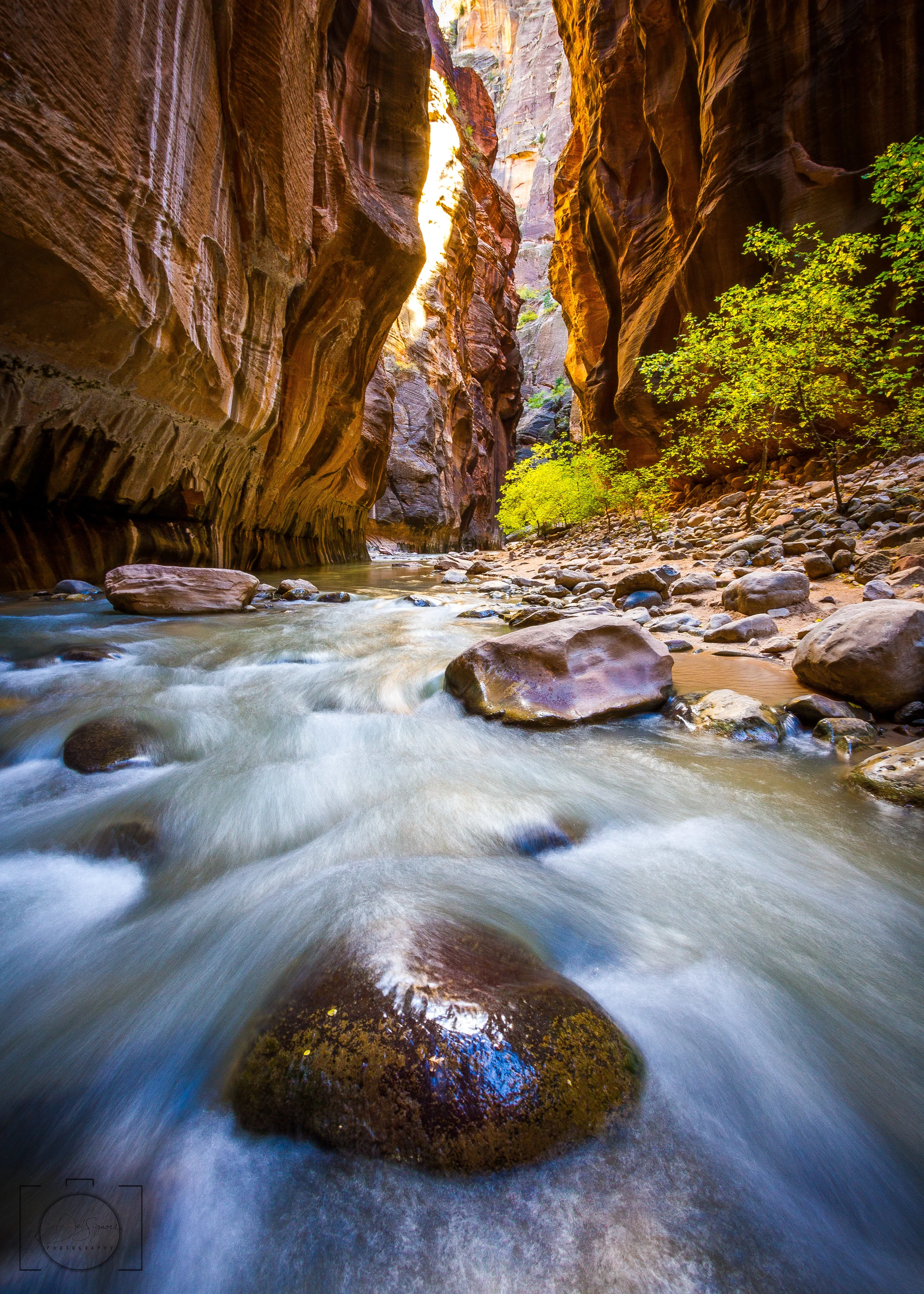 "Narrow Flow" - Zion National Park, Utah 