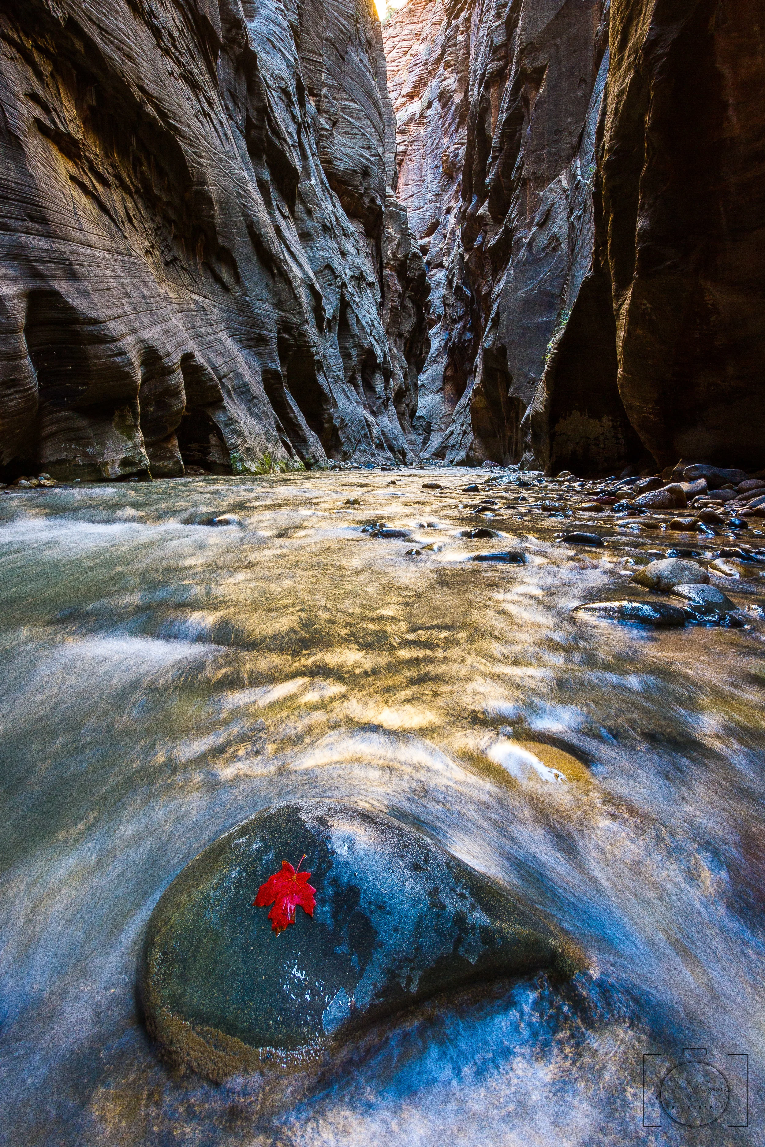 "Fall in the Narrows" - Zion National Park, Utah 