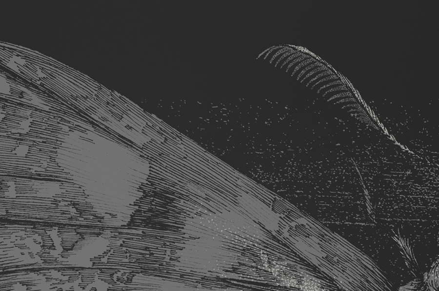 STORE_upclose-04.png