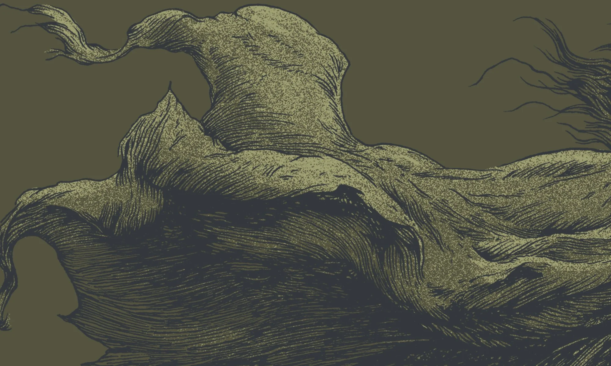 OLIVE_zoom_02.jpg