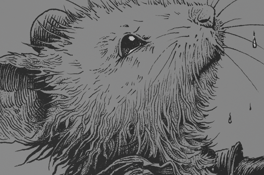 STORE_upclose-15.png