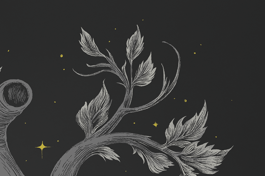 STORE_upclose-10.png