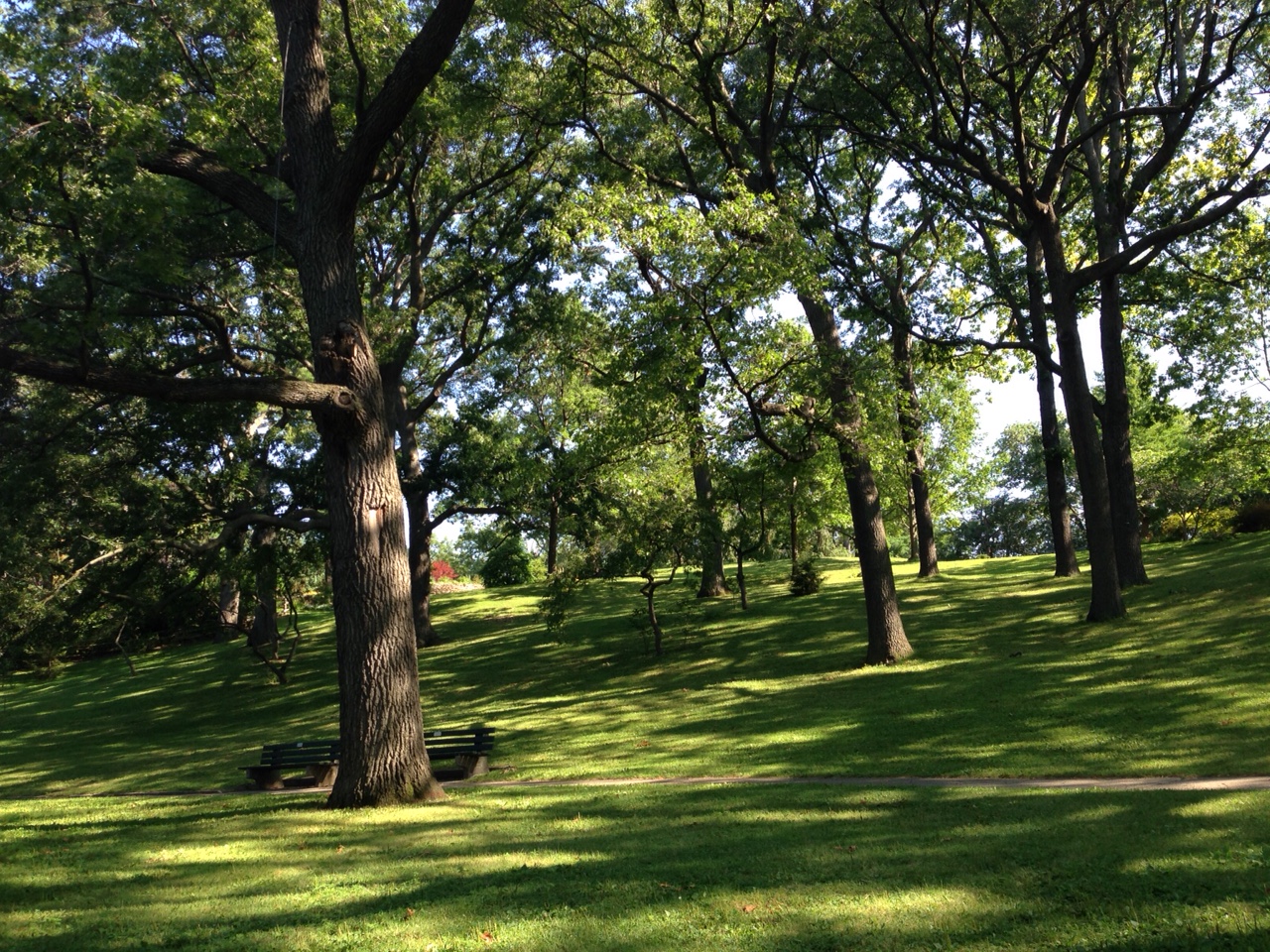 HighPark4_15Aug2015.JPG