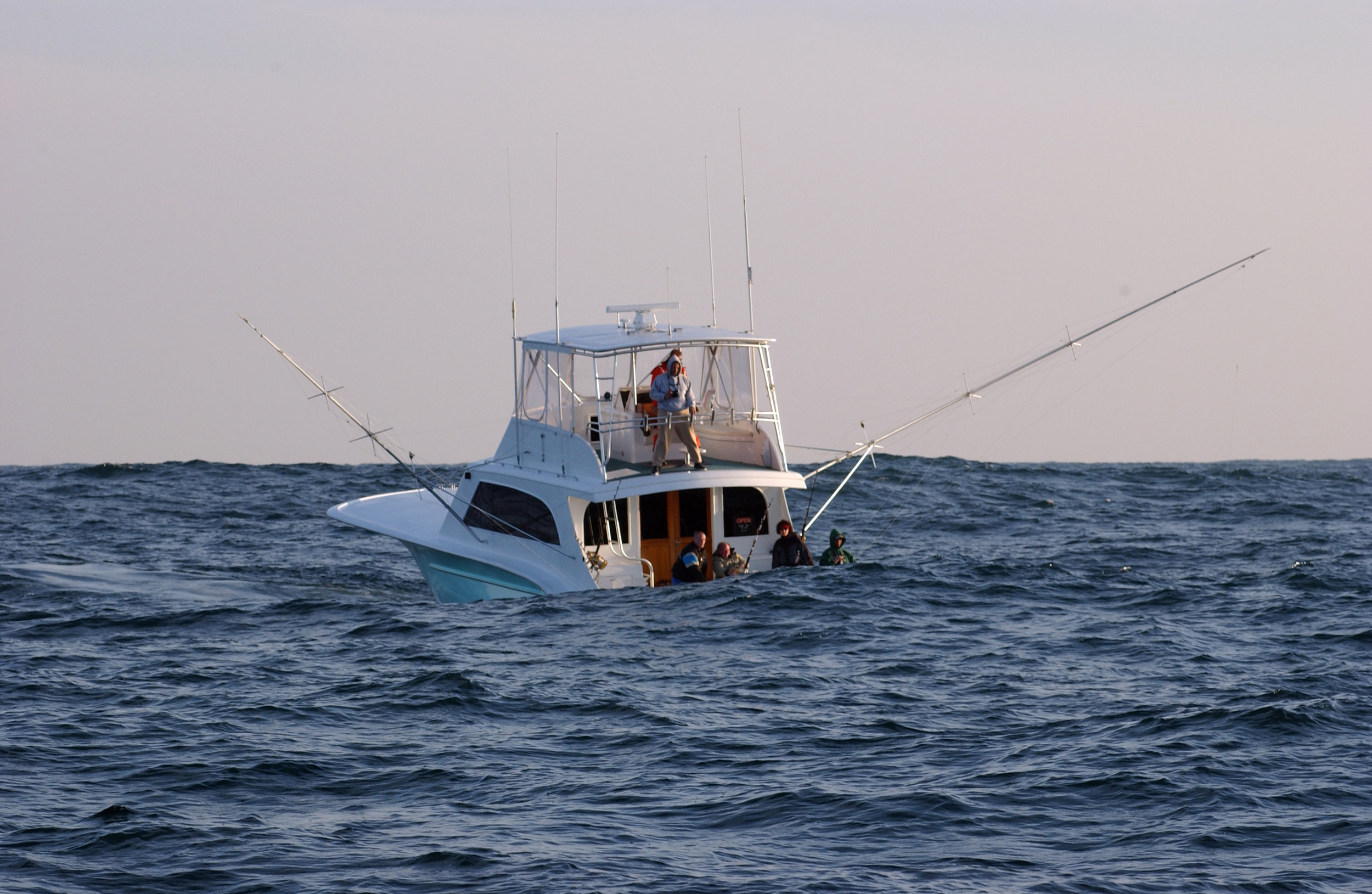fish_004-web.jpg