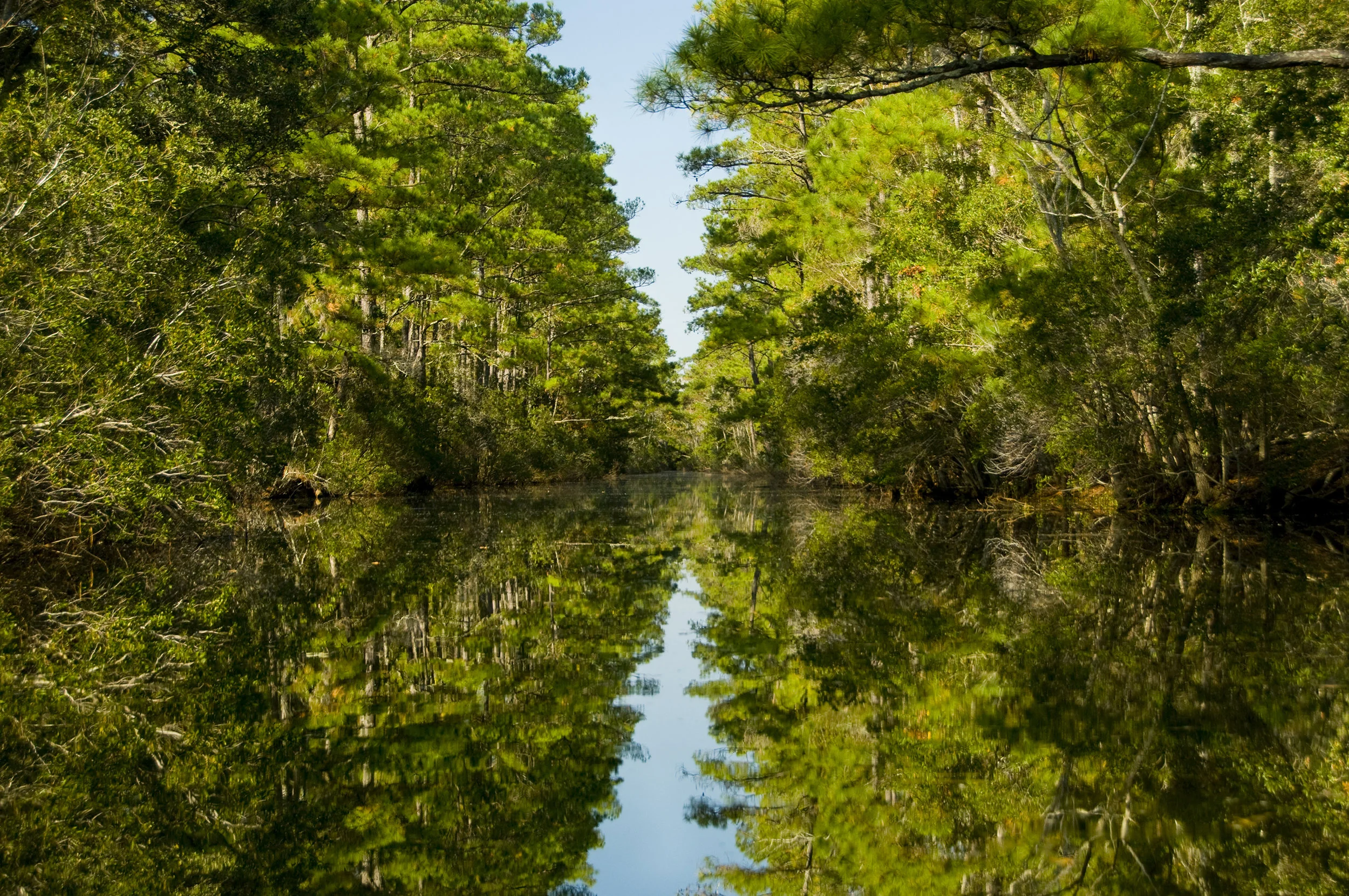 OBX09_021-web.jpg