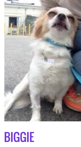 Screen Shot 2015-10-08 at 8.43.33 PM.png