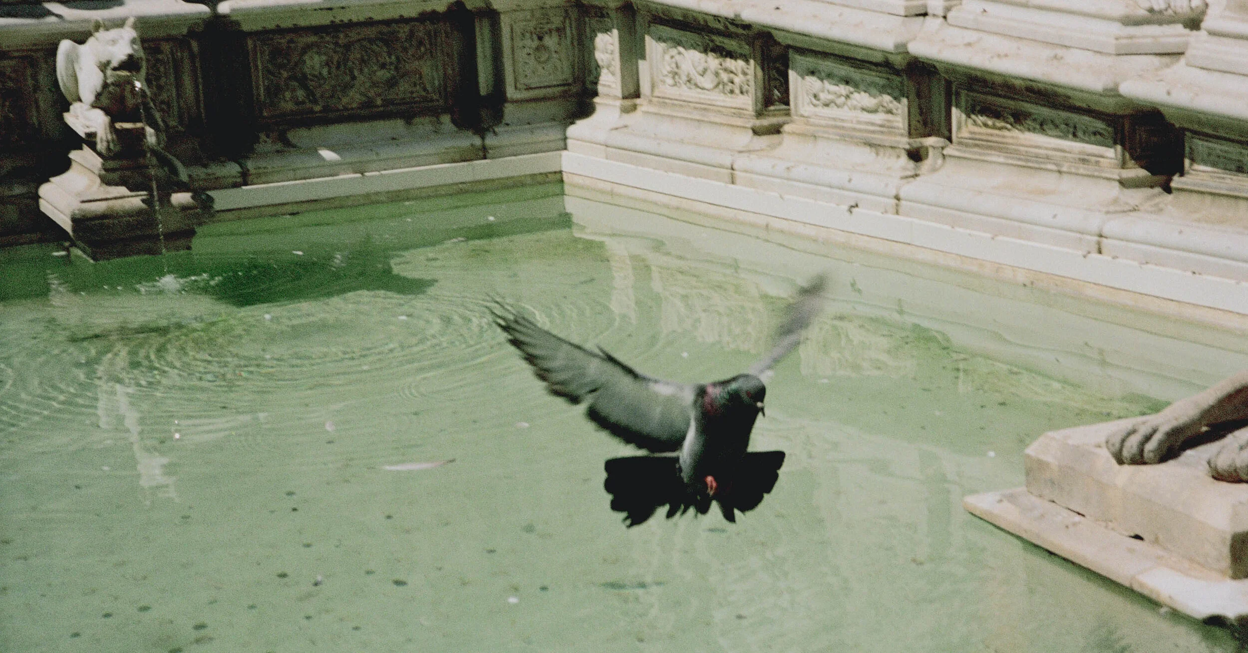 Church-And-State-Le-Pigeon2.jpg