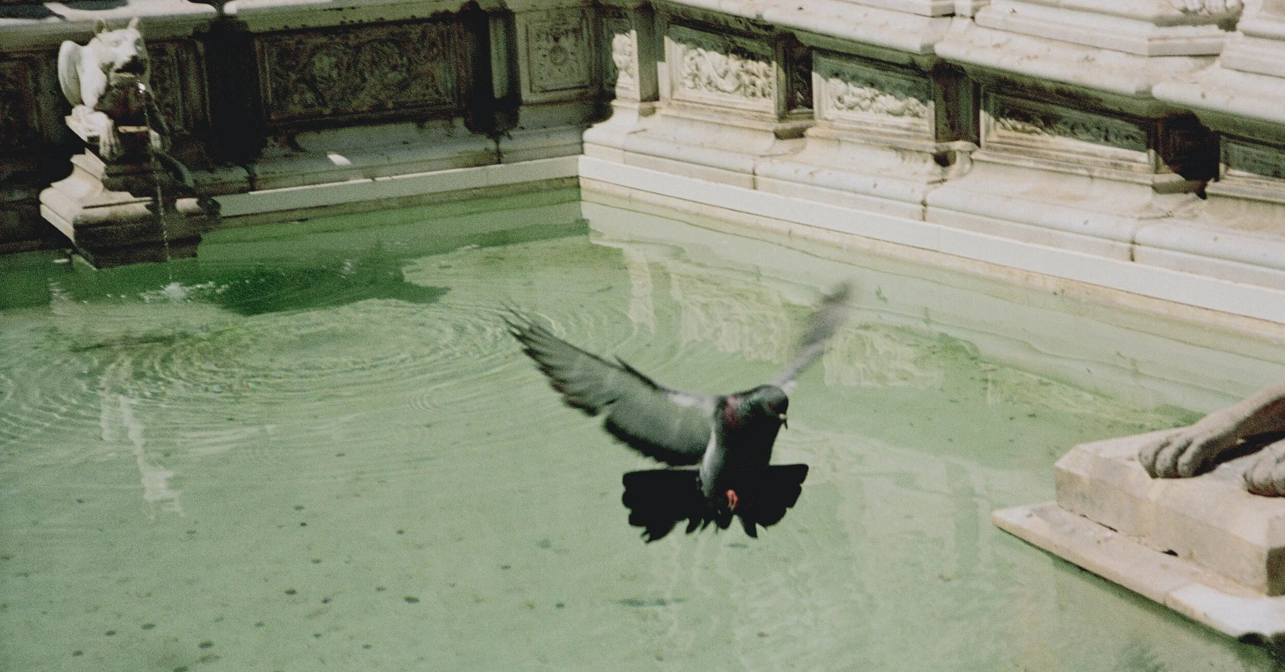 Church-And-State-Le-Pigeon3.jpg