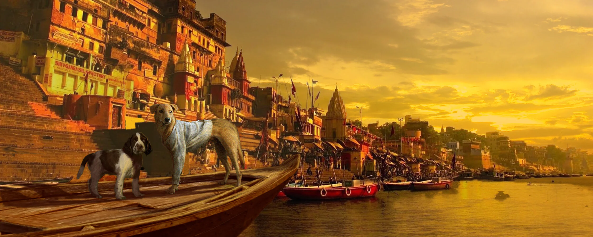 BOLLYWOOF MATTE TEST_2.jpg