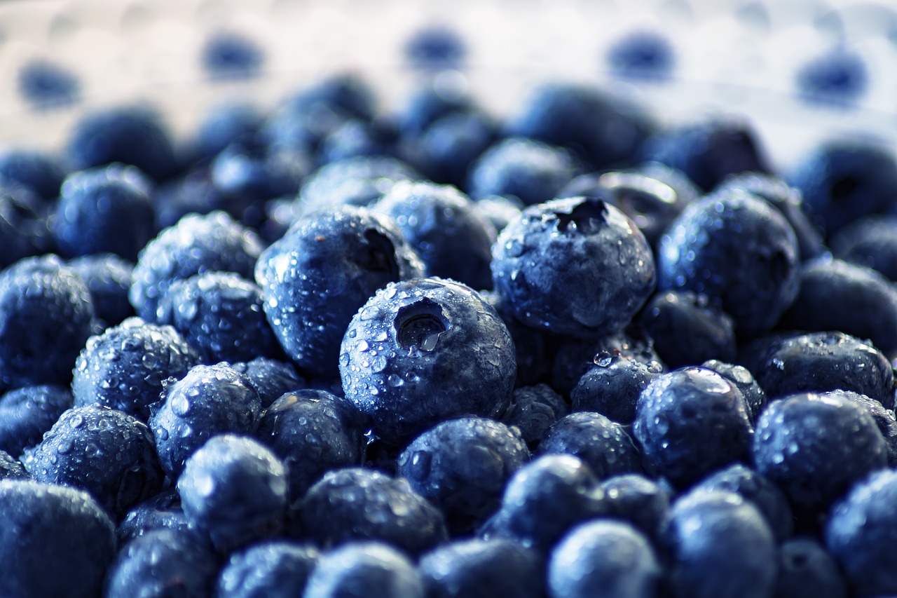 blueberry-3460423_1280.jpg