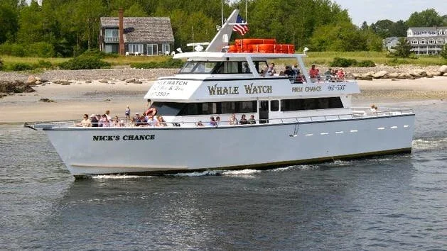 Nicks-Chance-Whale-Watching-Cruise-image-1.jpg