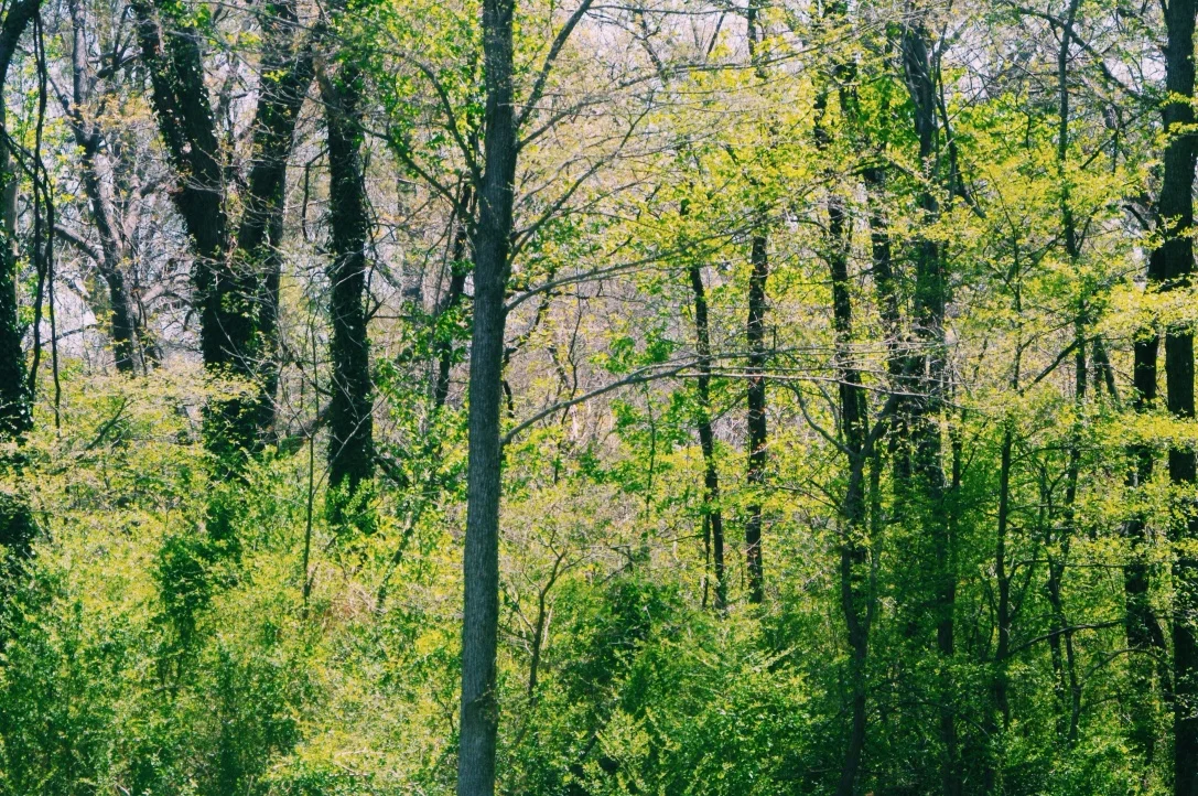 How To Deal When You're Creatively Dead