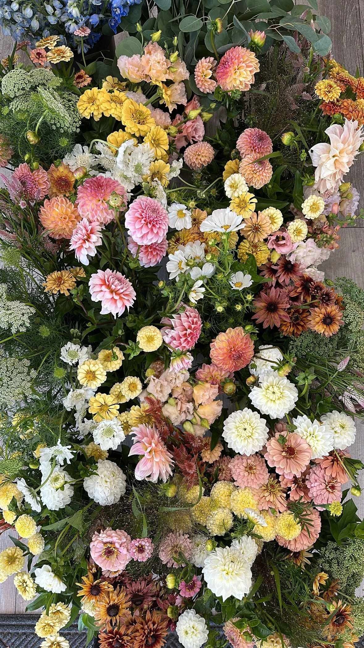 4562E33A-B605-4E8F-BE01-462F642A5F6D 2.jpg