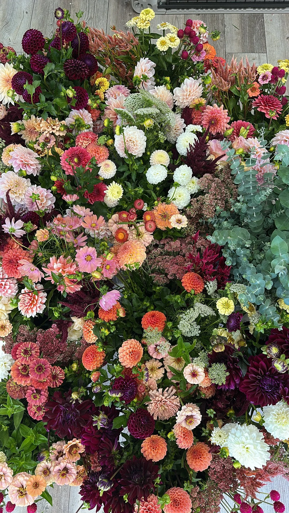 Bulk Bucket of Flowers - 2026