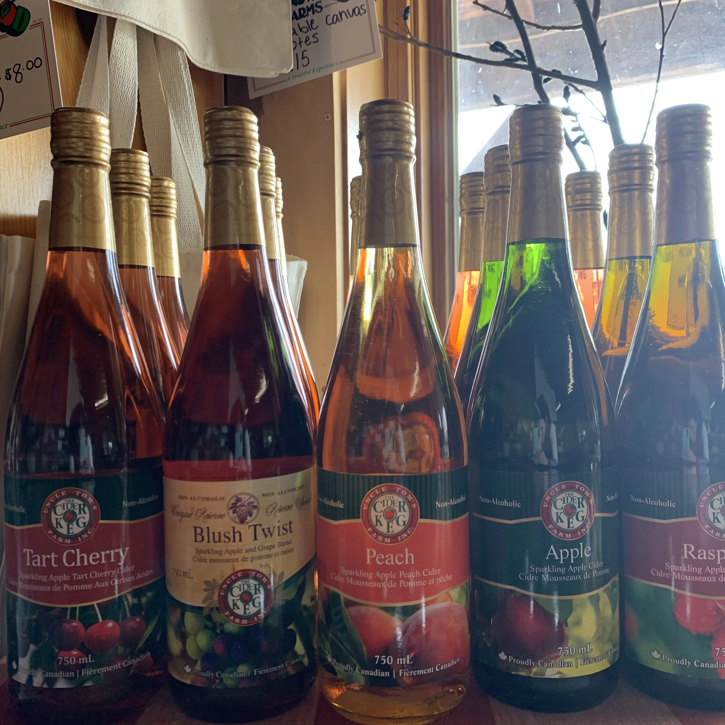 DBA214DA-4EA3-47B3-95DC-C76FCB498880