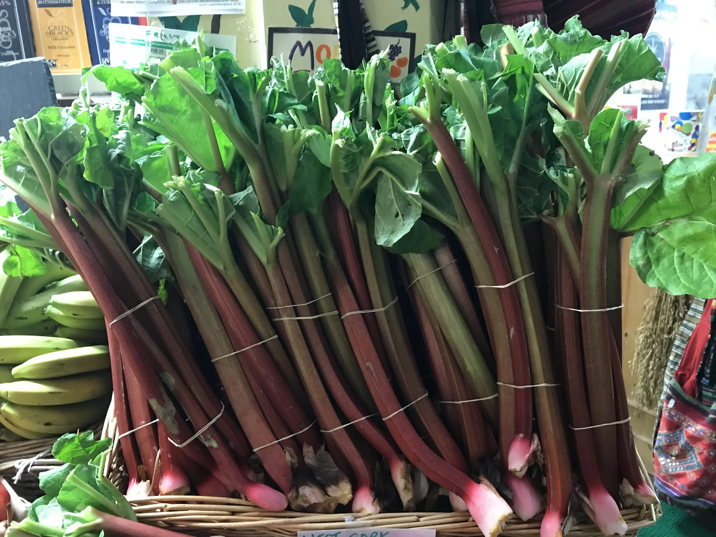 FA3669B9-375E-4B4E-A654-E399FDAA71E4