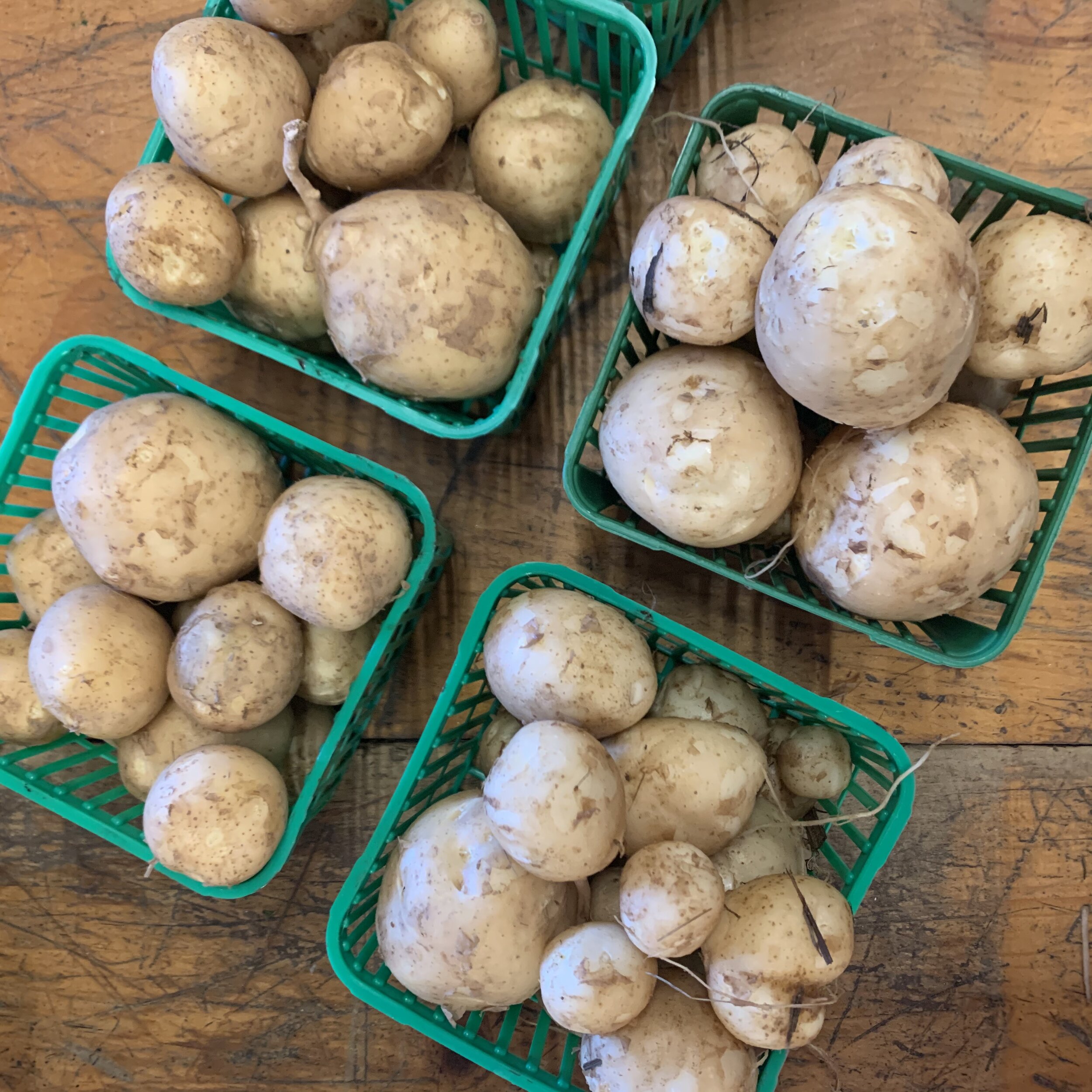 F1A6CB6C-EF8B-4565-9CEE-8D6671879BED