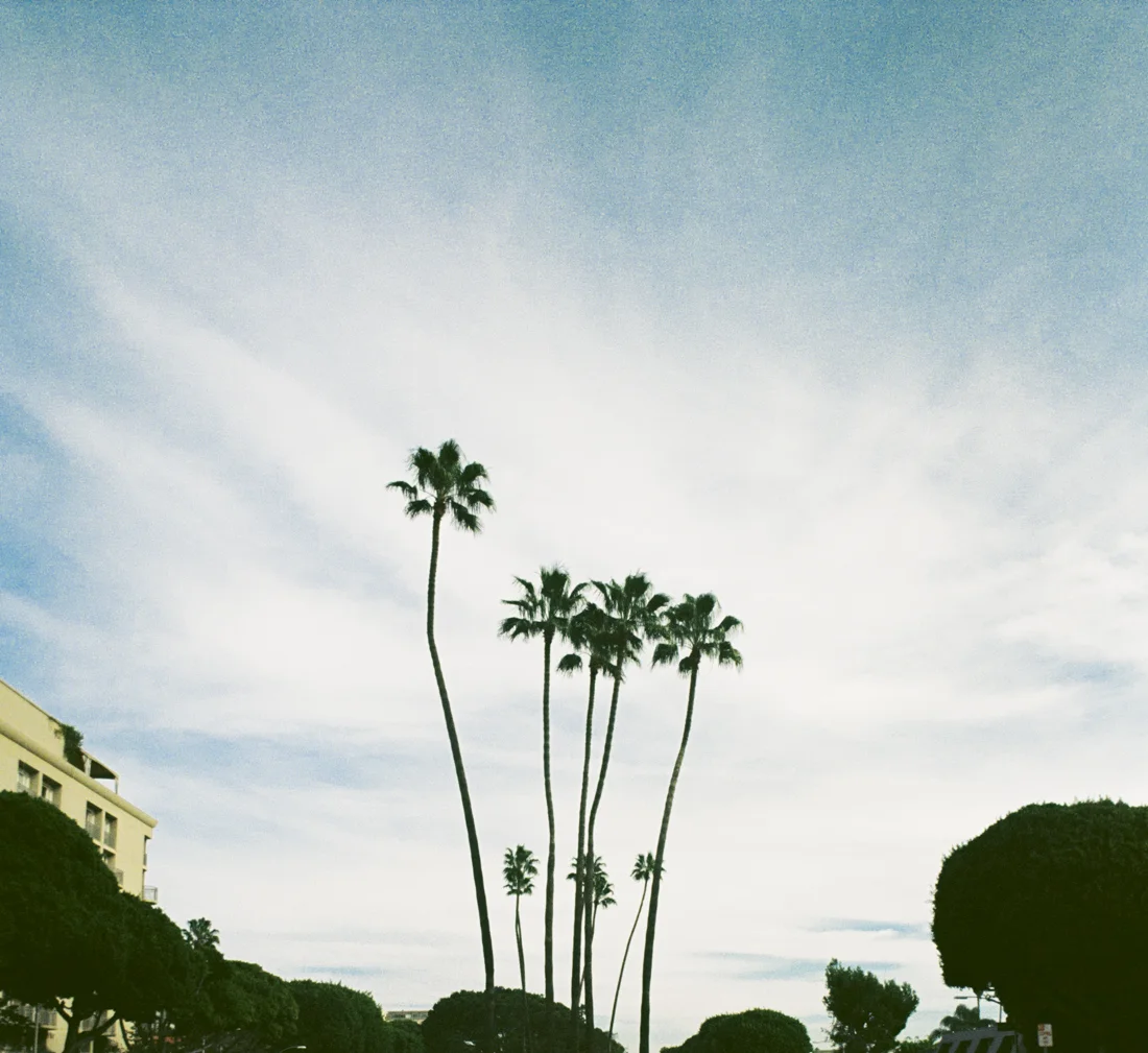 untitled-155.jpg