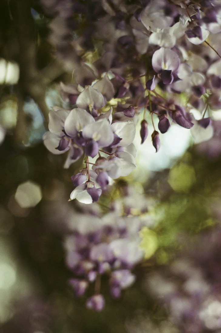 untitled-112.jpg