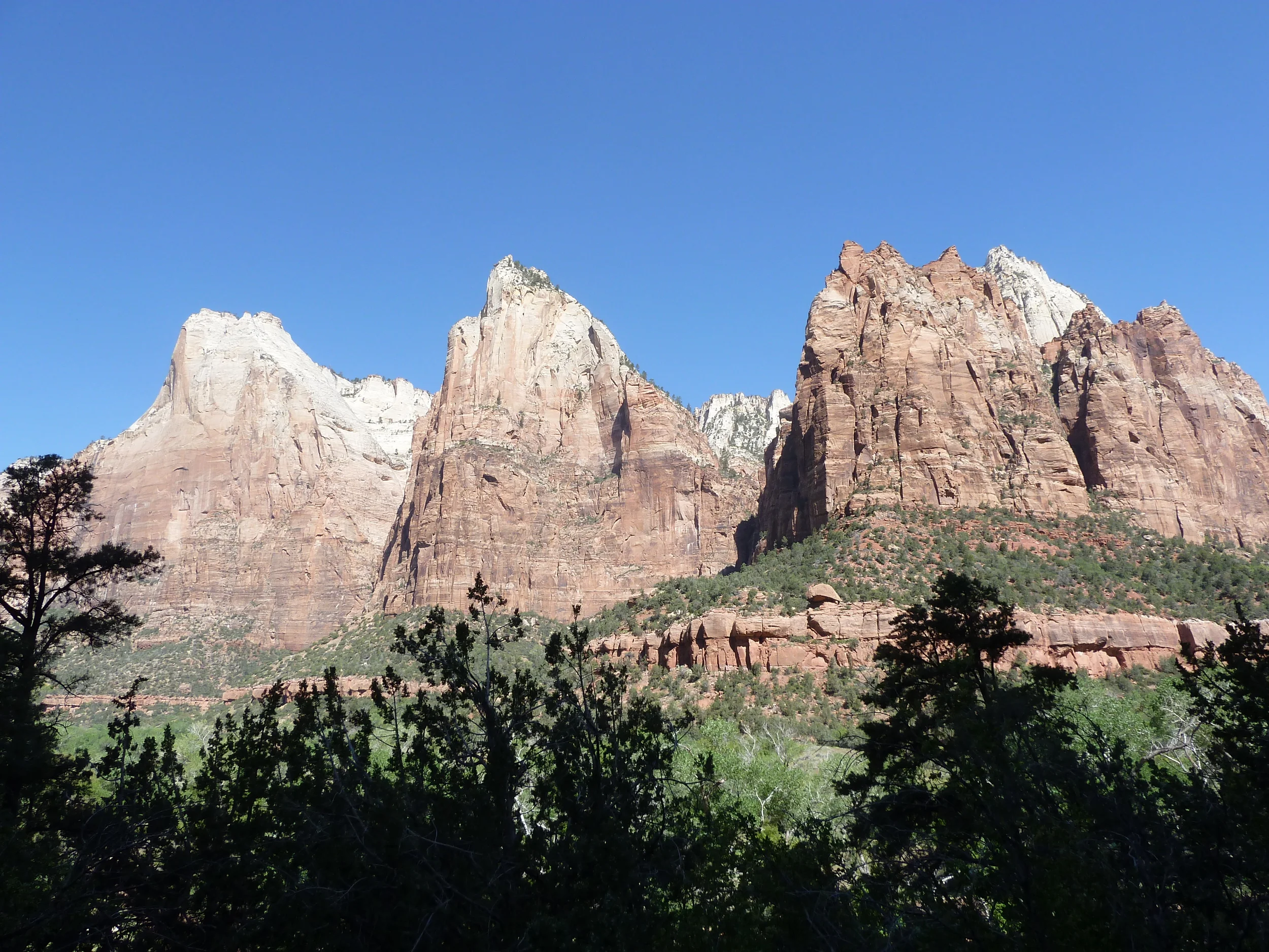 P1000054.JPG