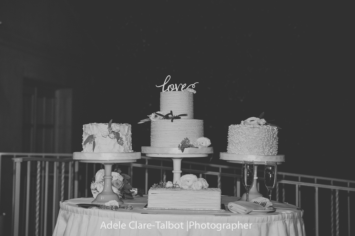 IMG_3993.jpg