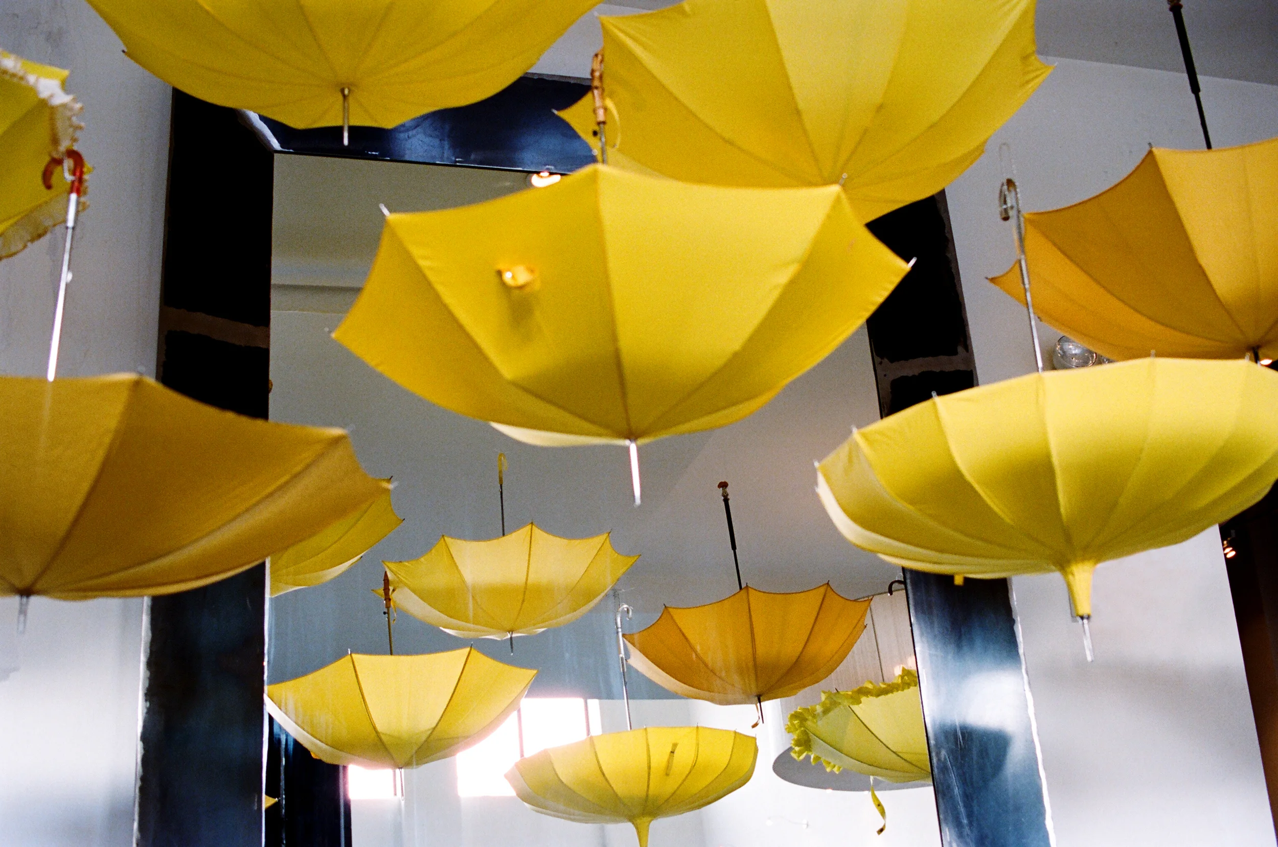  Bella Umbrella | Vintage Rental Umbrellas for Your Wedding or Event | Two Birds Photography 