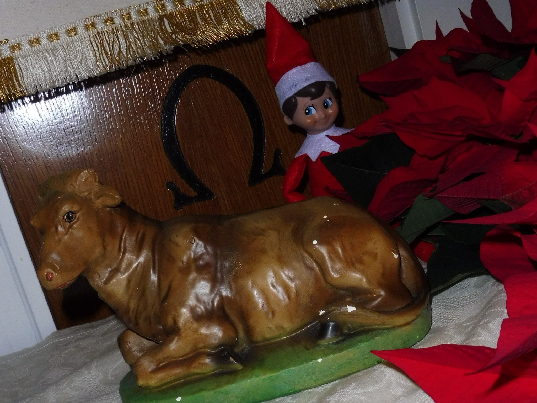 Zerubbabel "Elf on the Shelf"