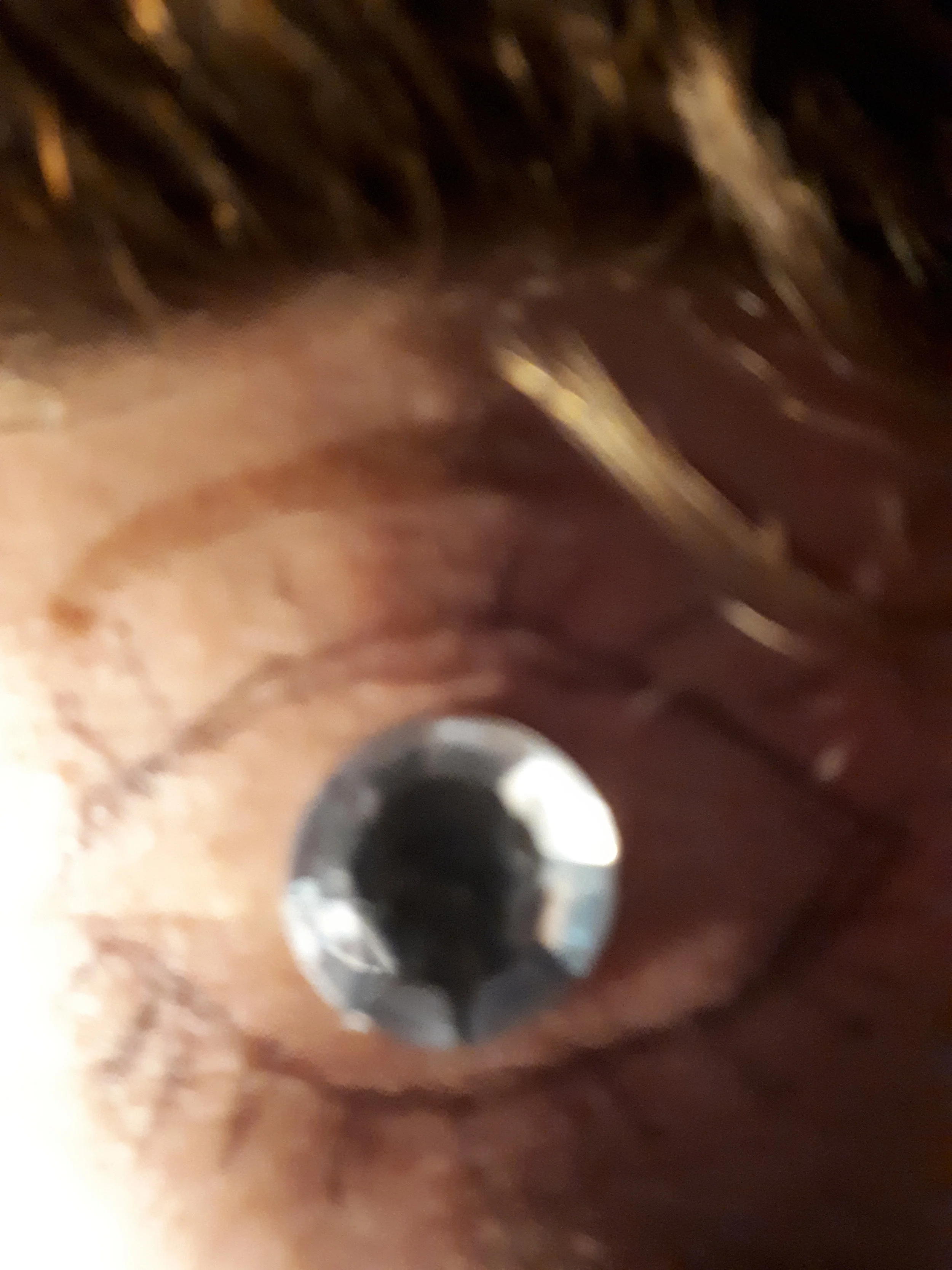 20180602_224216.jpg