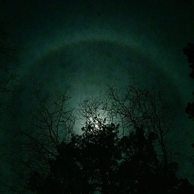 &quot;When I admire the wonders of a sunset or the beauty of the moon, my soul expands in the worship of the creator.&quot; Mahatma Gandhi
No filter, just the moon light. #physicsphilosophylove #ABDC #moon #moonlight #gandhi #behrouz #physics #philos