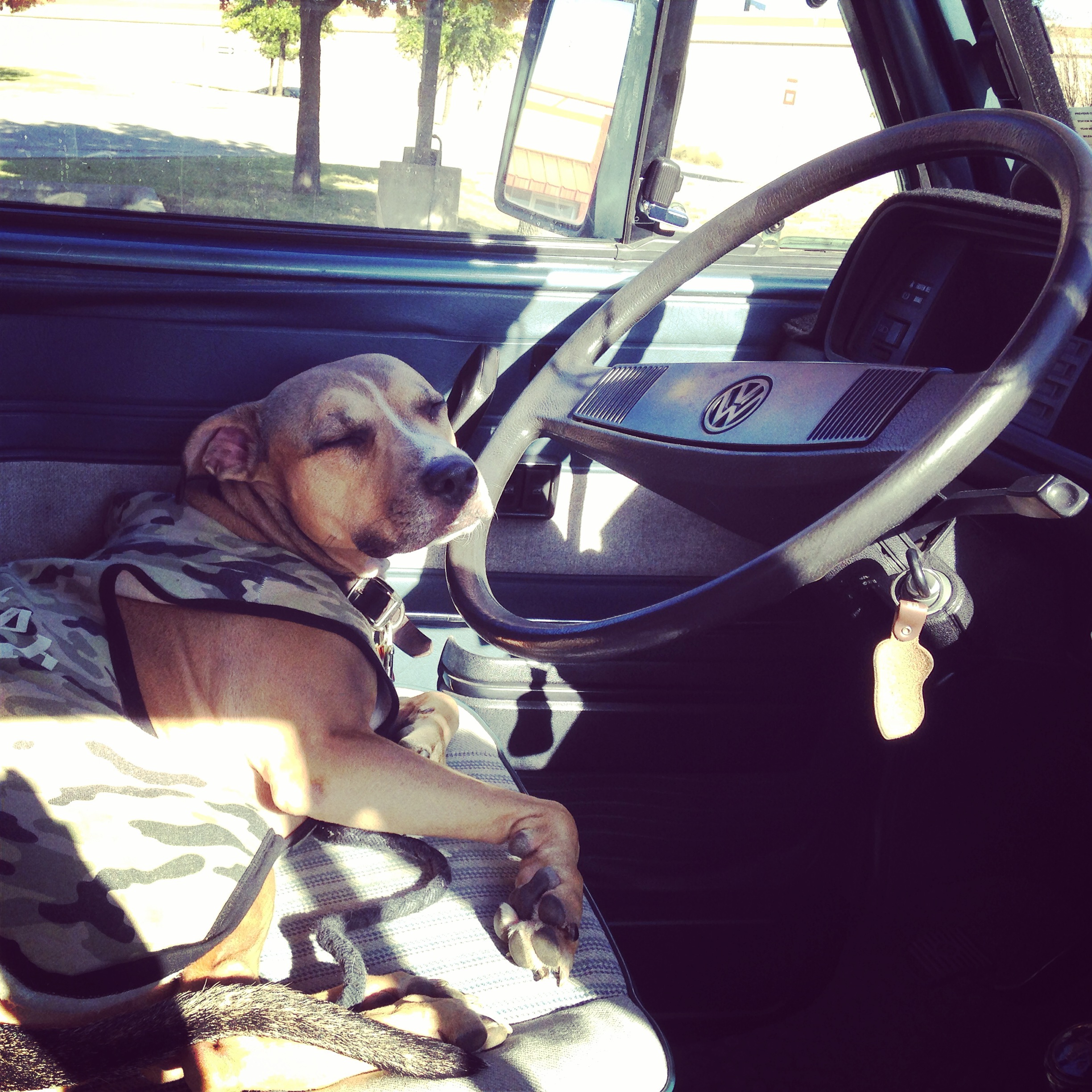 Here's Ada asleep at the wheel of Pam.