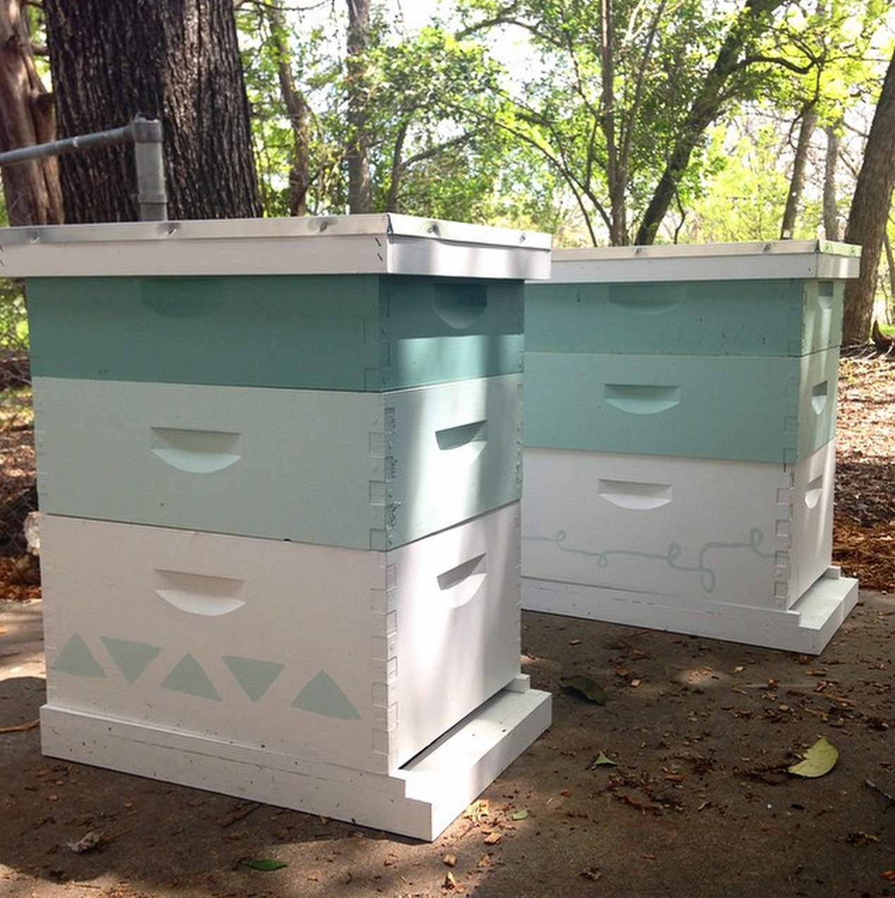 Beehives, post assembly and painting.