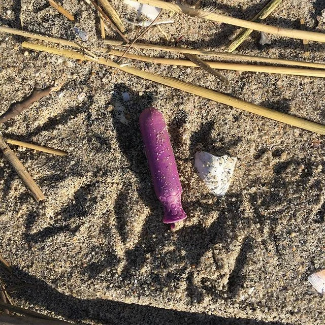#TamponWednesday!! Wow! Thanks for leaving your #pieceofcrap at my beach today @ubykotex @playtexsport and @tampax ! I found a bird  trying to eat this tampon applicator. I'm glad she didn't. You can see the bird prints around the tampon. Cool! #natu