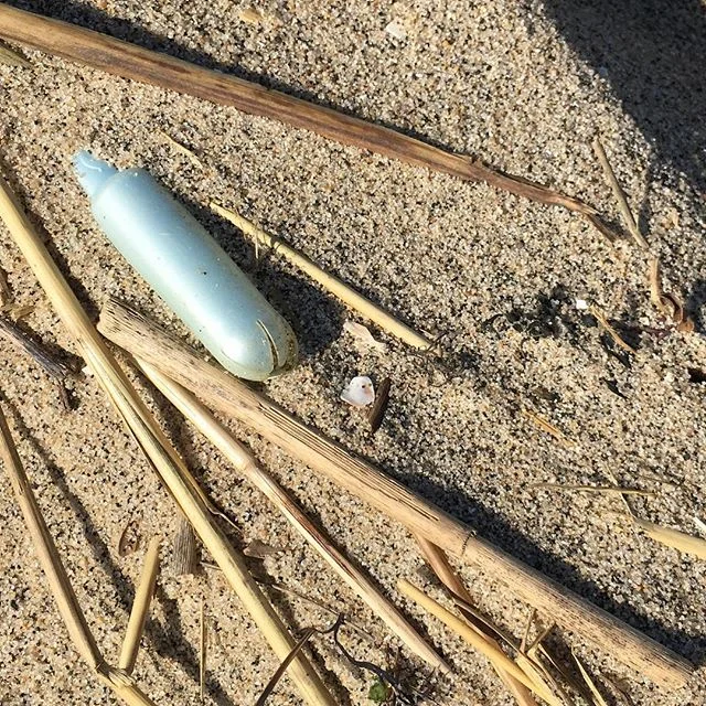 #TamponWednesday!! Wow! Thanks for leaving your #pieceofcrap at my beach today @ubykotex @playtexsport and @tampax ! #Singleuse items shouldn't live forever at my beach! #getthiscrapoffmybeach tell your customers to #reducereuserecycle or make your a